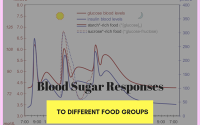 Blood Sugar and Weight Loss- Part 2 -impact on blood sugar with different kinds of foods