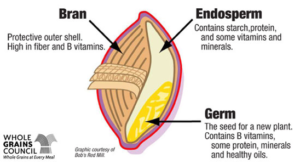 Parts of Whole Grain
